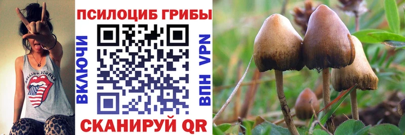 Галлюциногенные грибы Cubensis  Купить закладки  Трёхгорный 